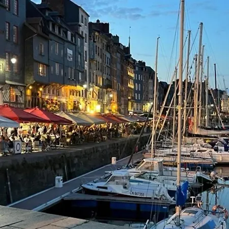 The Cosy Nest Perched In The Heart Of
